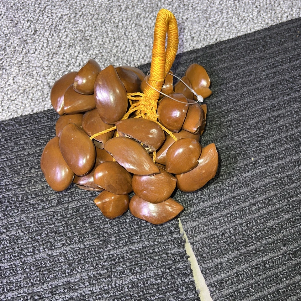 Seed Pods Shaker Rattle Percussion Instrument Music Sound Healing Drum Circle - Image 2 of 3