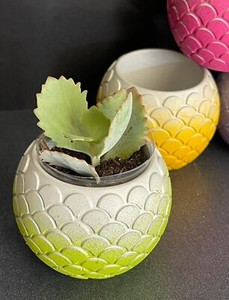 Cement Pot