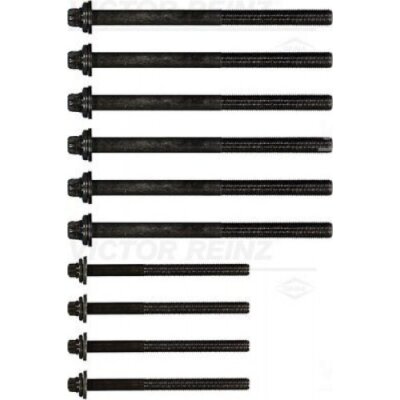 Cylinder head bolt set Victor Reinz 14-32254-01 for Iveco