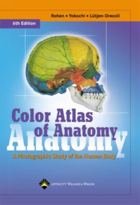 #ad #ad Color Atlas of Anatomy : A Photographic Study of the Human Body H $9.98