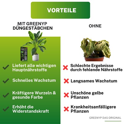 Universal Dngestbchen fr Grnpflanzen Zimmerpflanzen Balkonpflanzen  50-200Stk | eBay.de