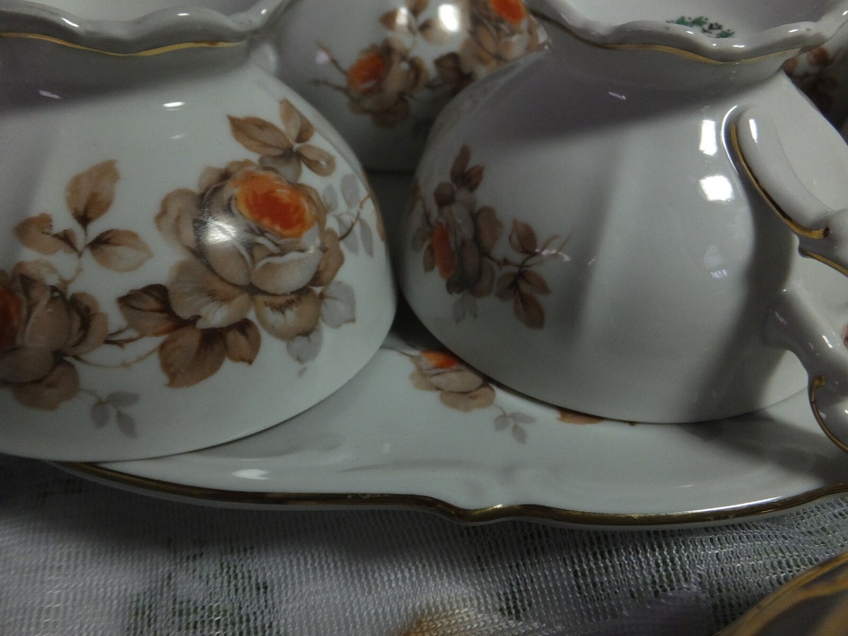 Mitterteich Bavaria Norway Rose Germany dinner china dishes set