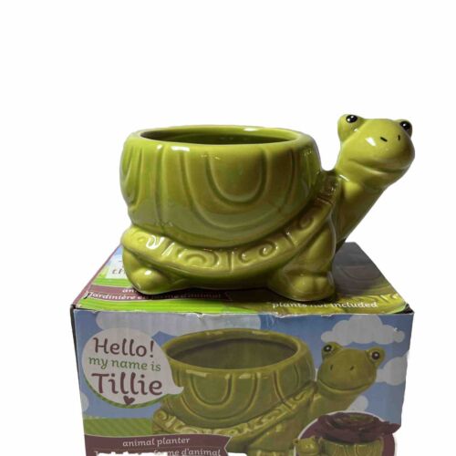 TILLIE THE TURTLE Ceramic Animal 4" x 4" X 3" Mini Succulent Planter Pot - Picture 1 of 9
