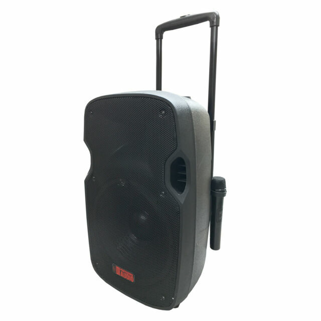 portable pa system with 2 wireless microphones