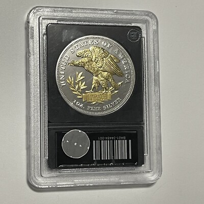 1879 Schoolgirl Morgan 24k Gold Gilded Coin 1 Troy Oz .999 Fine