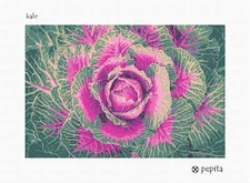 Kale Needlepoint Kit or Canvas