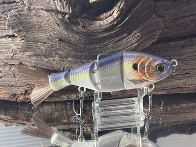 Custom Painted Midsized Nasty Shad Swimbait
