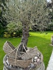 Bild 17 von 22