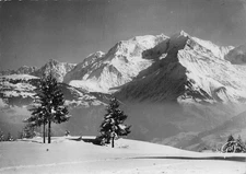 74 SAINT GERVAIS LES BAINS PLATEAU DES BETTEX