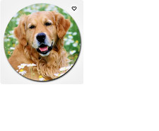 GOLDEN RETRIEVER PET DOG Pendant on plate 925 Silver 20" 22" Necklace Gold Gift