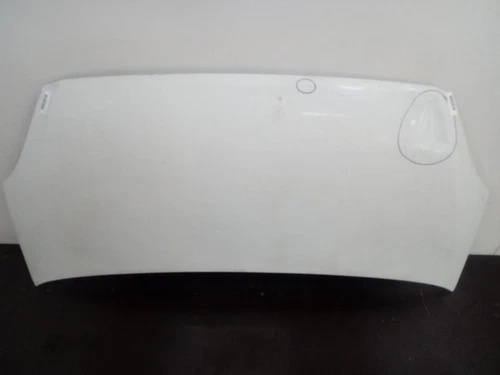 Haube für IVECO 2013 6588370 - Afbeelding 3 van 10