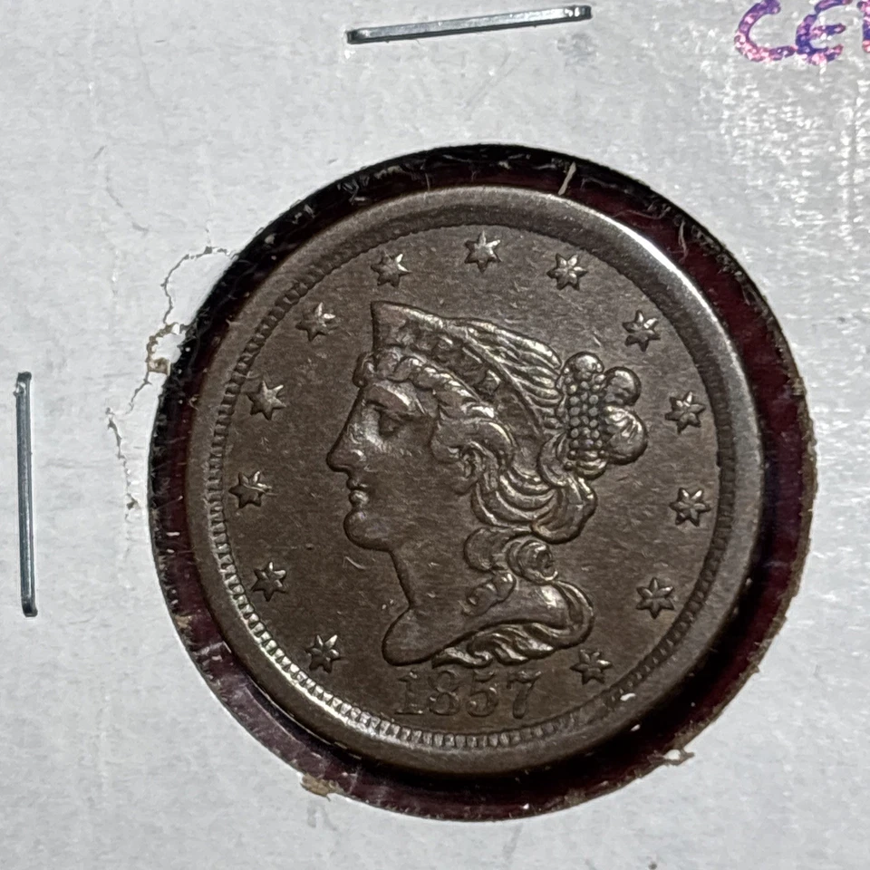 1857 Braided Hair Head Half Cent Free Shipping - Image 3 of 4