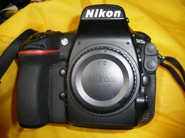 Nikon D810 Digital Cameras with AF Lock for Sale | Shop New & Used