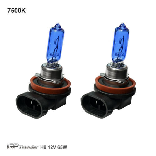 GP THUNDER 7500K STANDARD WATTAGE SUPER WHITE HALOGEN BULBS - Foto 14 di 50