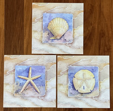 Paul Brent Set of 3 Shell Art Prints 8" x 8" Summer Scallop Sand dollar Starfish