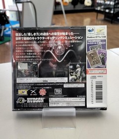 HUDSON Shadows of the Task Saturn Software