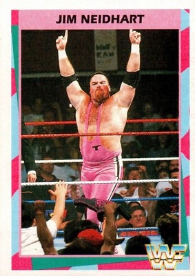 1995 WWF Merlin - Jim Neidhart #54 - hasbro ljn titan sports wcw