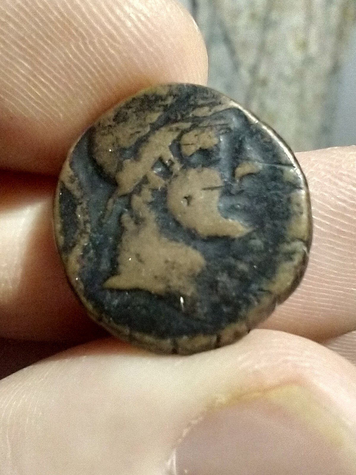 Picture 3 of 4