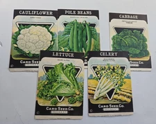 Set of 5 Card Seed Company Vintage unused Seed Packets Fredonia N.Y Celery Beans