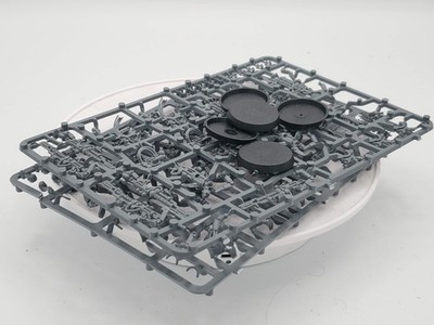 Warhammer 40K Necrons Immortals (NoS) A