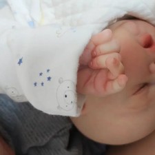 Official Ribbon Doll Hand Net Kit!