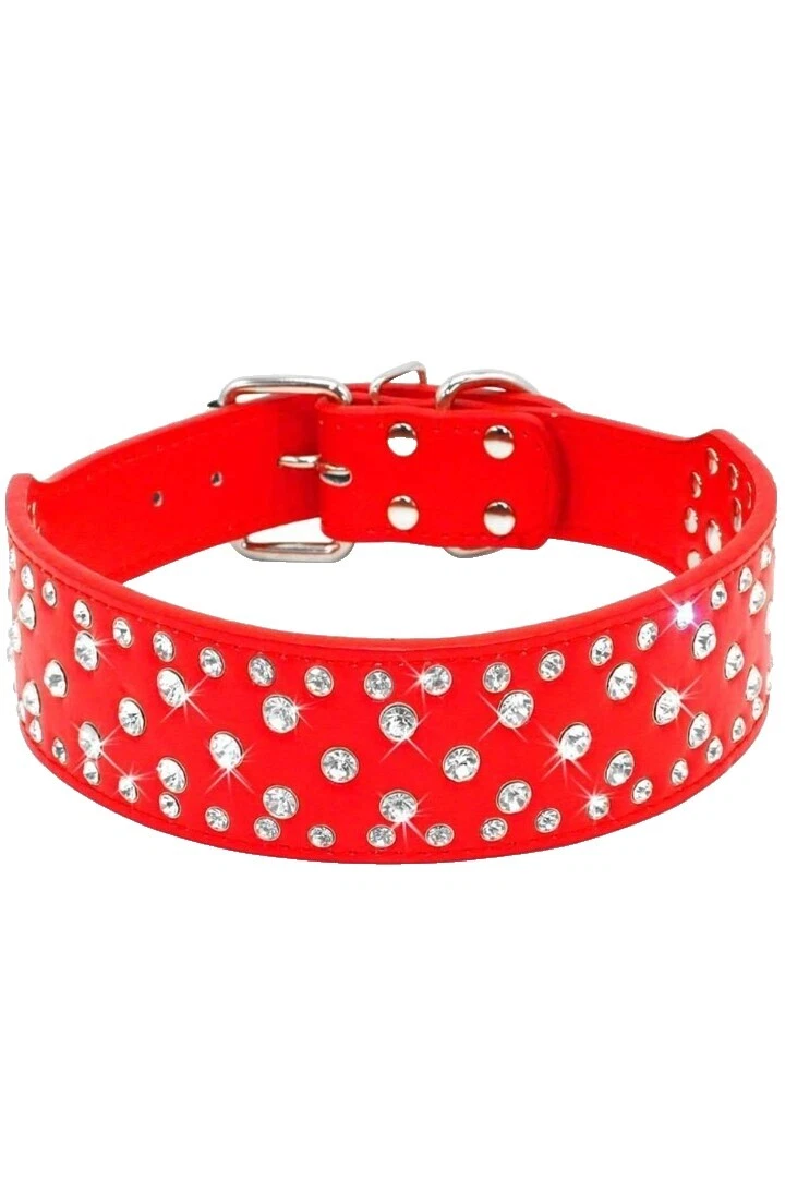 Studded Collar Dog Collars