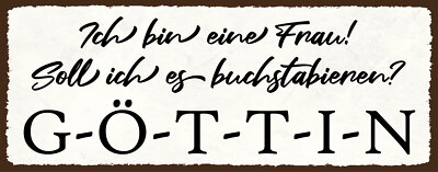 Blechschild 27x10 Ich bin eine Frau soll ich es Buchstabieren Göttin Lustig Bar