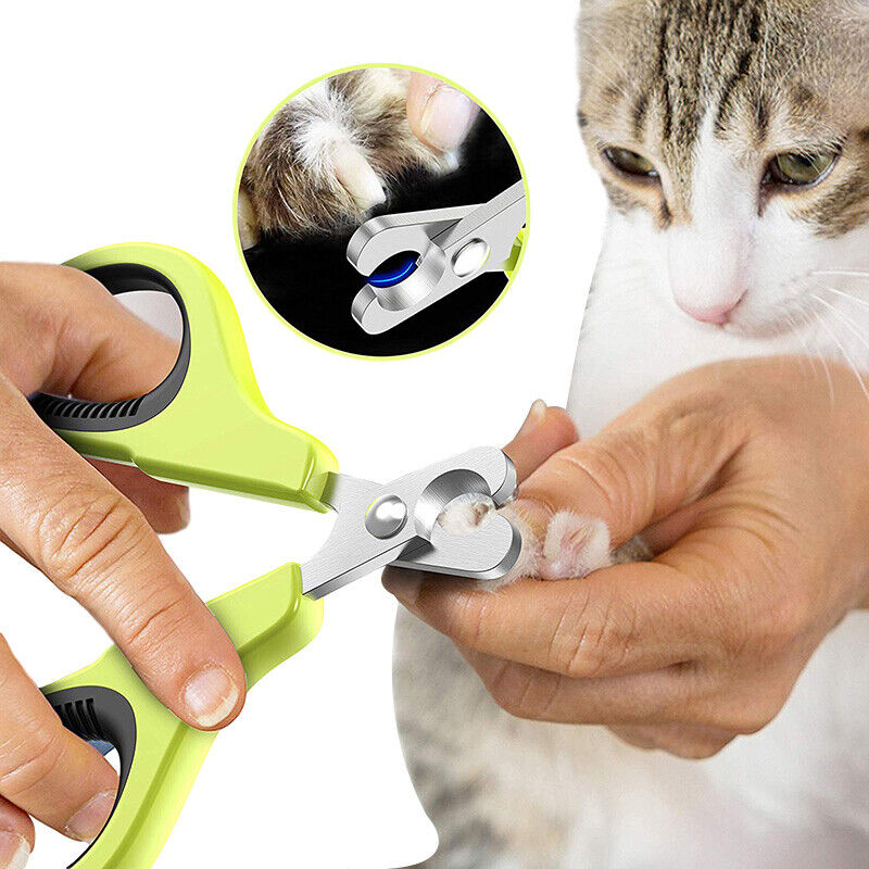 Pet Nail Clippers Cat Nail Trimmer Dog Toenail Claw Cutter Pet Grooming  Scissors | eBay