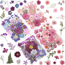 100 Pcs Dried Pressed Flowers for Crafts, Preserved  Dehydrated in Pink/Purple/