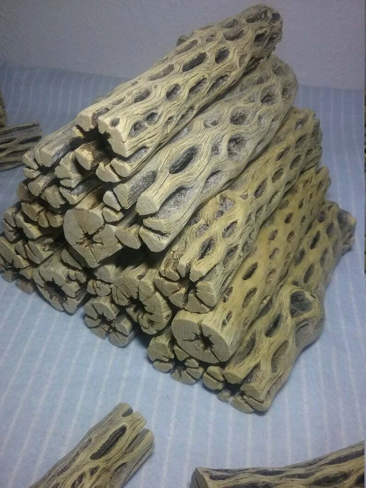 10 LARGE 6" inch CHOLLA Wood | CLEANED! | AQUARIUM | Air Plant, Crafts | Cactus - Image 2 of 4