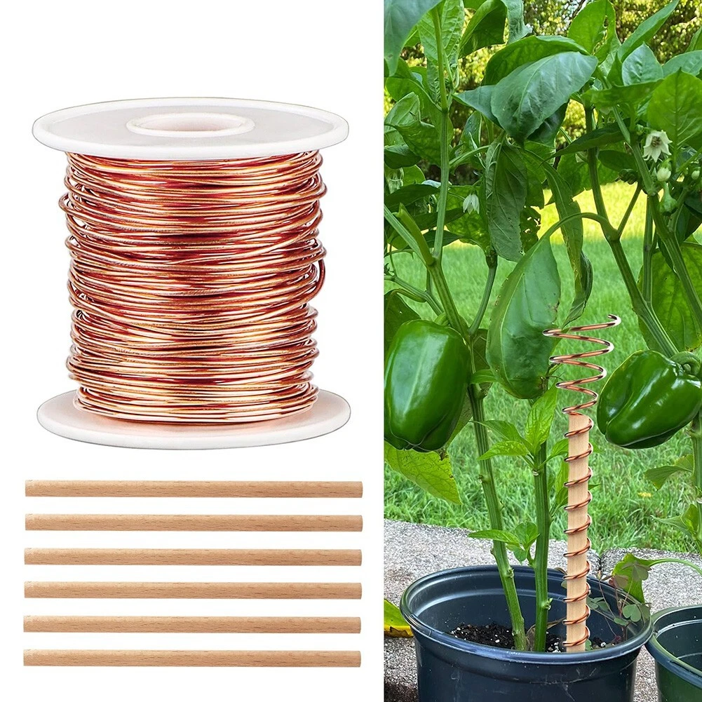 12+ Copper In Plants