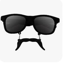 Funny Handlebar Mustache Sunglasses