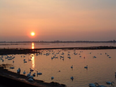 Photo 6x4 Welney Sunset Sunset over the WWT Welney Wetland Centre.htt c2003