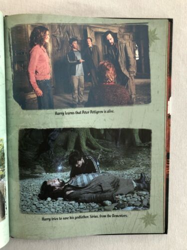 Harry Potter: Poster Annual 2008 (2007, Hardcover) - Imagen 5 de 8
