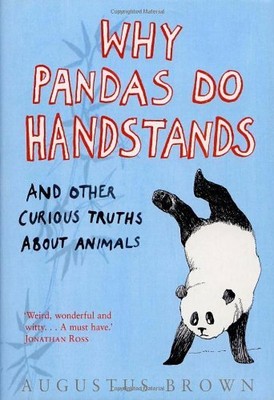 Why Pandas Do Handstands...: And Other Curious Truths About Animals,Augustus Br