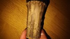 FLEXTONE BONE COLLECTOR'S SERIES ELK/DEER CALL — photo 4