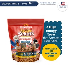 Dried Mealworms for Wild Birds  Bluebirds High Protein Bird Food 2 lb Bag