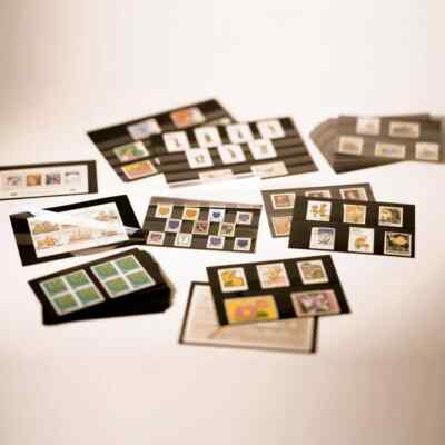 100 LEUCHTTURM BRIEFMARKENKARTEN 3 oder 5 LEISTEN FORMAT A5 oder C6