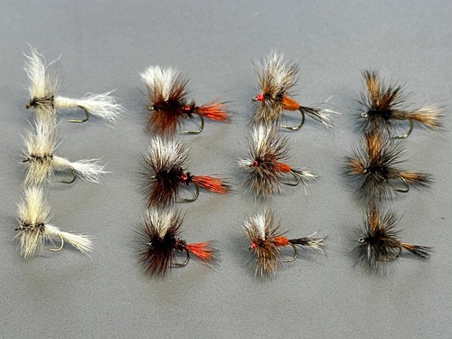 Assortimento Wulff Dry Fly - Bianco, Royal, Ausable, Grigio - #10 #12 #14 (1 Doz) - Foto 1 di 2