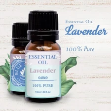 Blue Stone Botanicals, Essential Oil, 10ml, Lavender (Pack of 1)