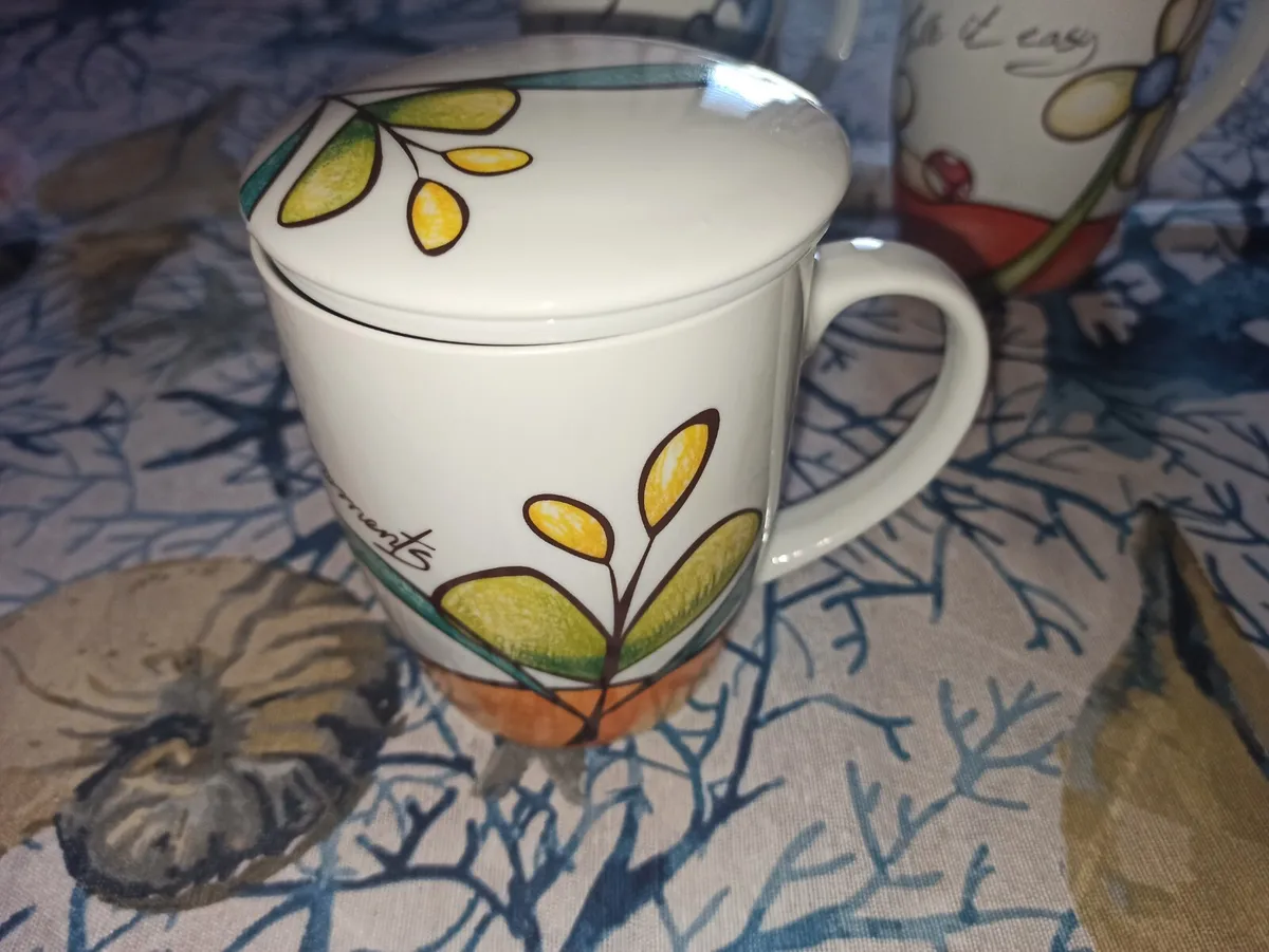 Egan 3 tazze tazza mug con coperchio x tisane tè infusi cuori