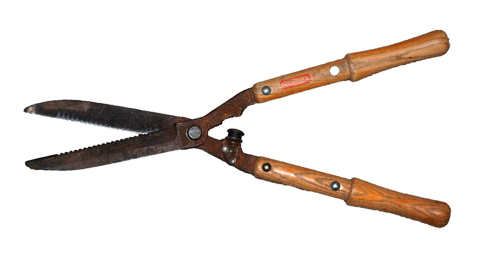 CORONA 7 Hedge Shears 21