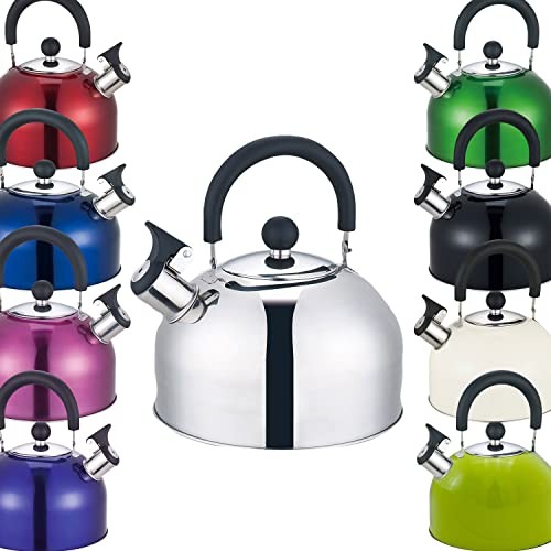 Premium Stainless Steel Whistling Kettle | 10 Colors |  Assorted colors 