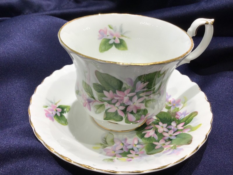 ROYAL ALBERT MAYFLOWER cup & saucer set NEVER USED! made ENGLAND