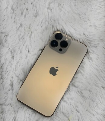 Apple iPhone 13 Pro Max - 256 GB - Gold (Spectrum)