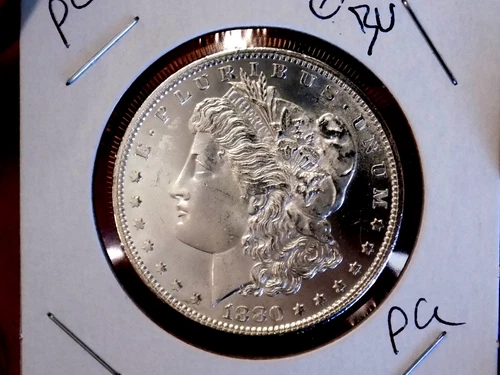 MORGAN SILVER DOLLAR 1880 S GEM BU MS++++++ BLAST WHITE SPL TO PL HIGH GRADE