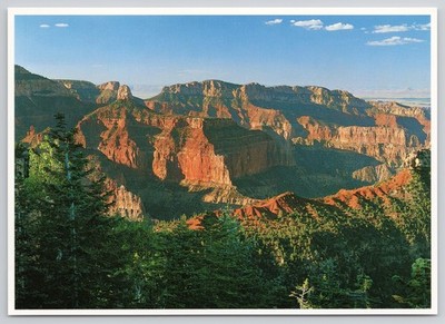 Grand Canyon National Park Rock Layers AZ Landscape Photo John Wagner Postcard