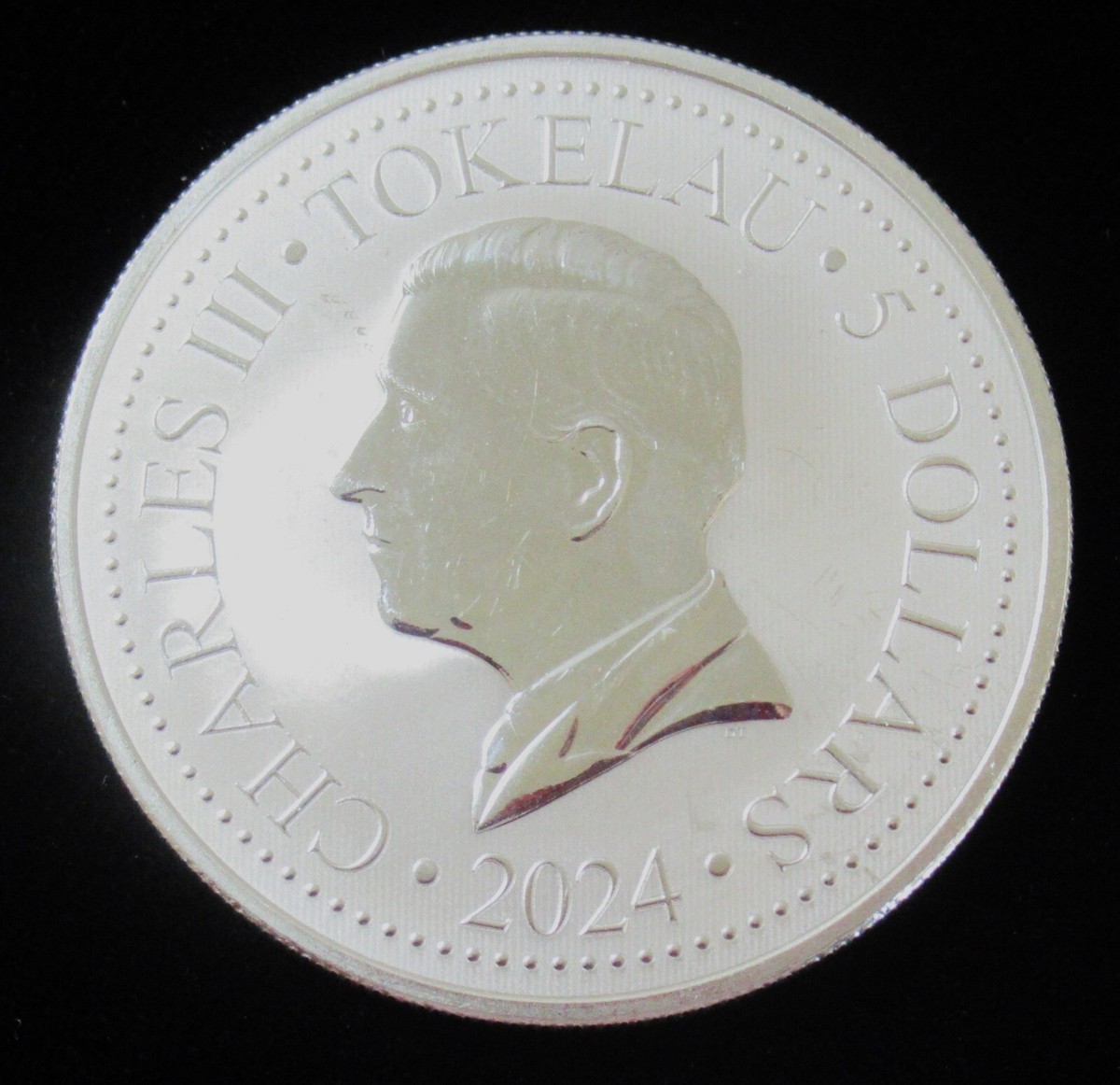 NGC PF69UCAM カナダ 2024年 北極熊 5＄ １/4oz 銀貨 NGC PF69UCAM カナダ 2024年 北極熊 5＄ 1/4oz 銀貨