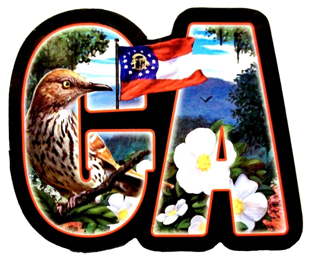 Georgia Peach Montage Magnet, Collective Travel Souvenir, Keepsake Gift, 3 X 3 Inches