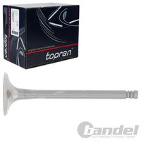 Topran Einlassventil Passend FüR Audi A3 A6 Mitsubishi Grandis Lancer Outlander